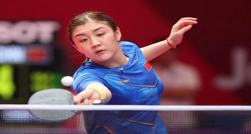 哈马斯控制 哈马斯控制